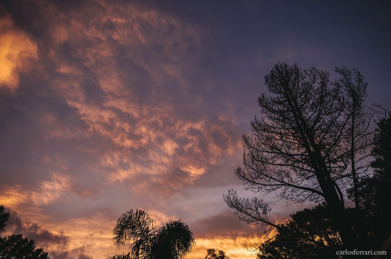 20160220_carlosferrari_luanaefelipe_207