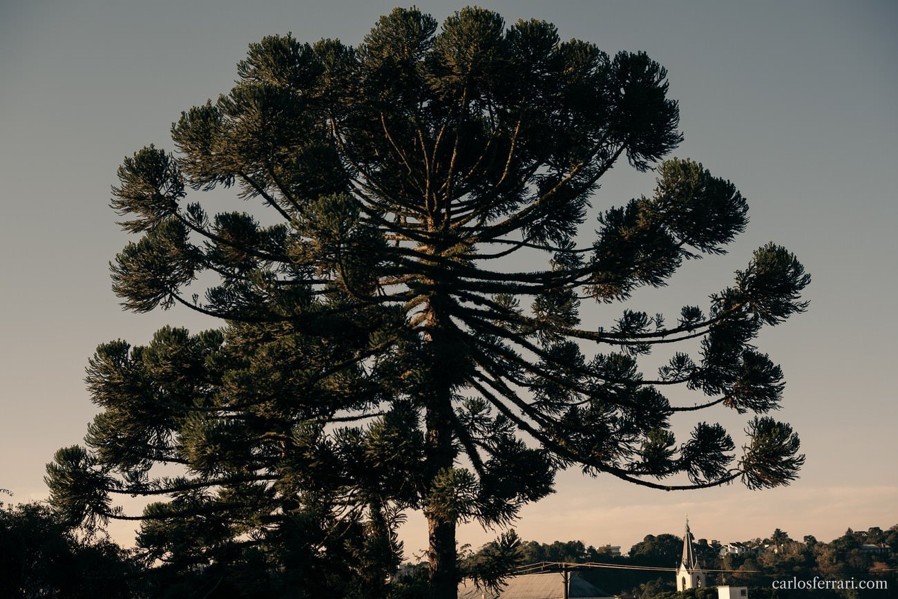 018_20160618_carlosferrari_casamento_marina_020