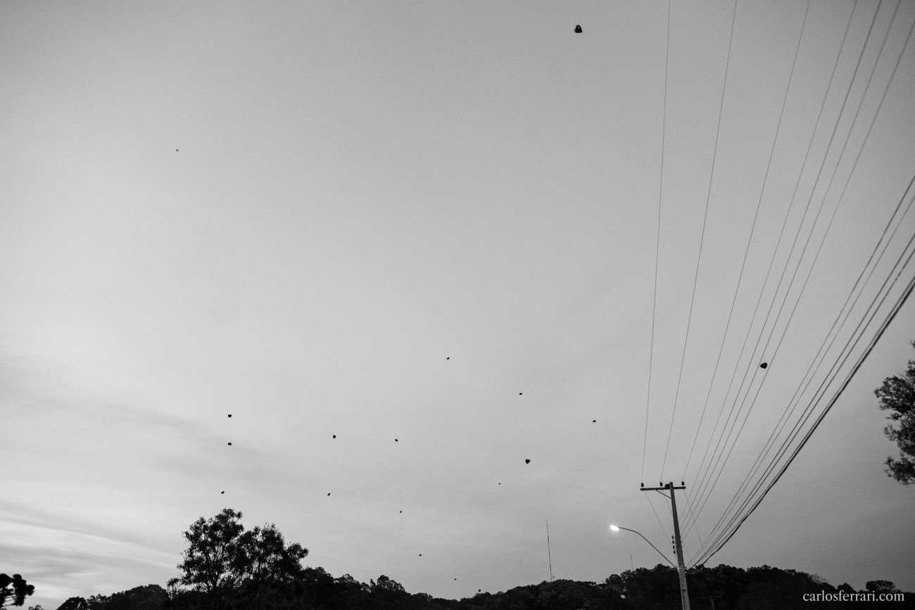 20161119_carlosferrari_casamento_vanemathe_510