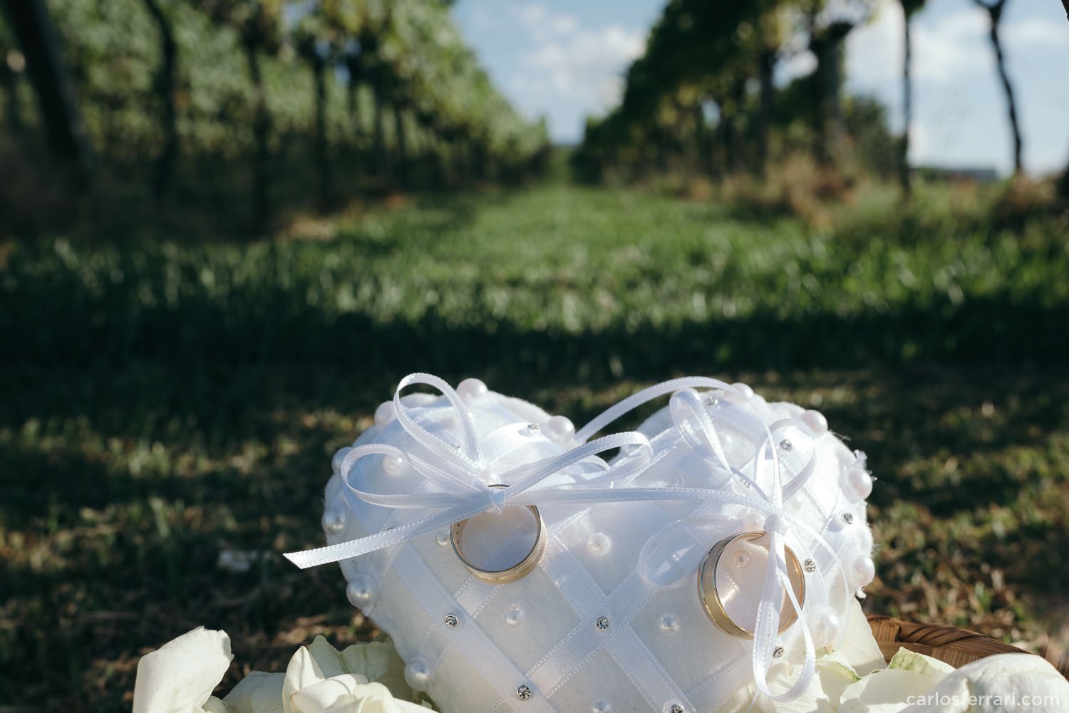 carlosferrari-fotografia-casamento-aliara-e-giba-vinicola-lovara-bento-goncalves-serragaucha-fotosdiferentes-espontaneas_32