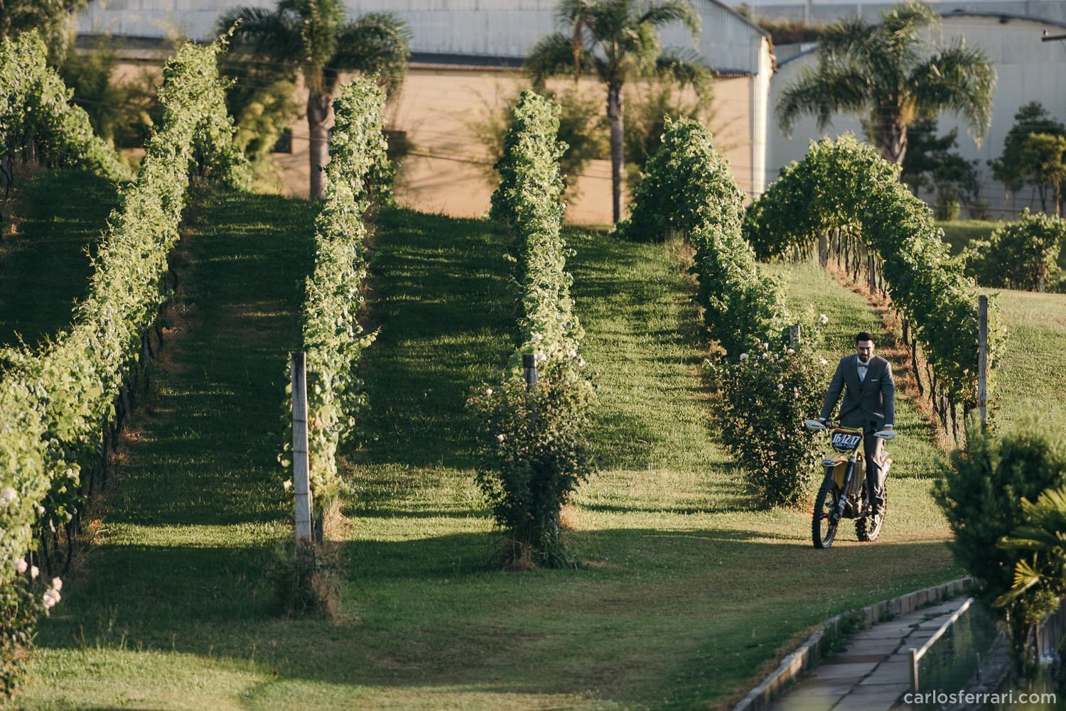 carlosferrari-fotografia-casamento-aliara-e-giba-vinicola-lovara-bento-goncalves-serragaucha-fotosdiferentes-espontaneas_46