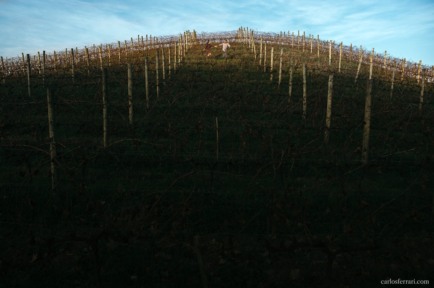 carlosferrari-fotografia-ensaio-pre-casamento-franciele-eduardo-vinicola-miolo-vale-dos-vinhedos-serra-gaucha-fotosdiferentes-espontaneas_18