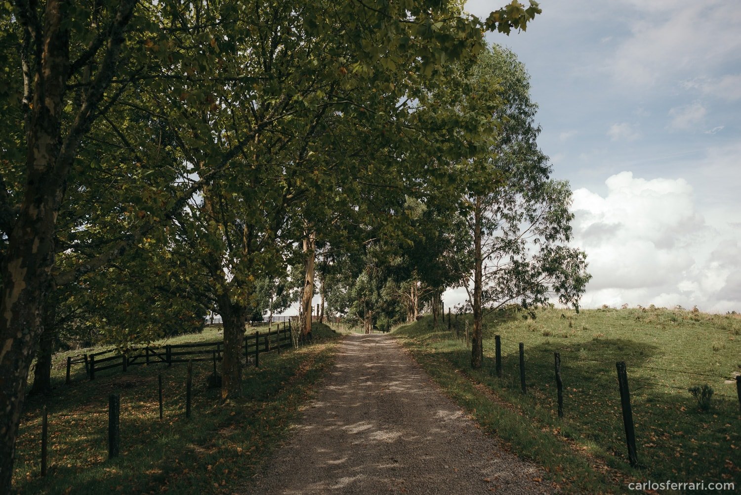 carlosferrari-fotografia-precasamento-andreiaejoelcio-cabanha-cavalos-fotosdiferentes-espontaneas_1