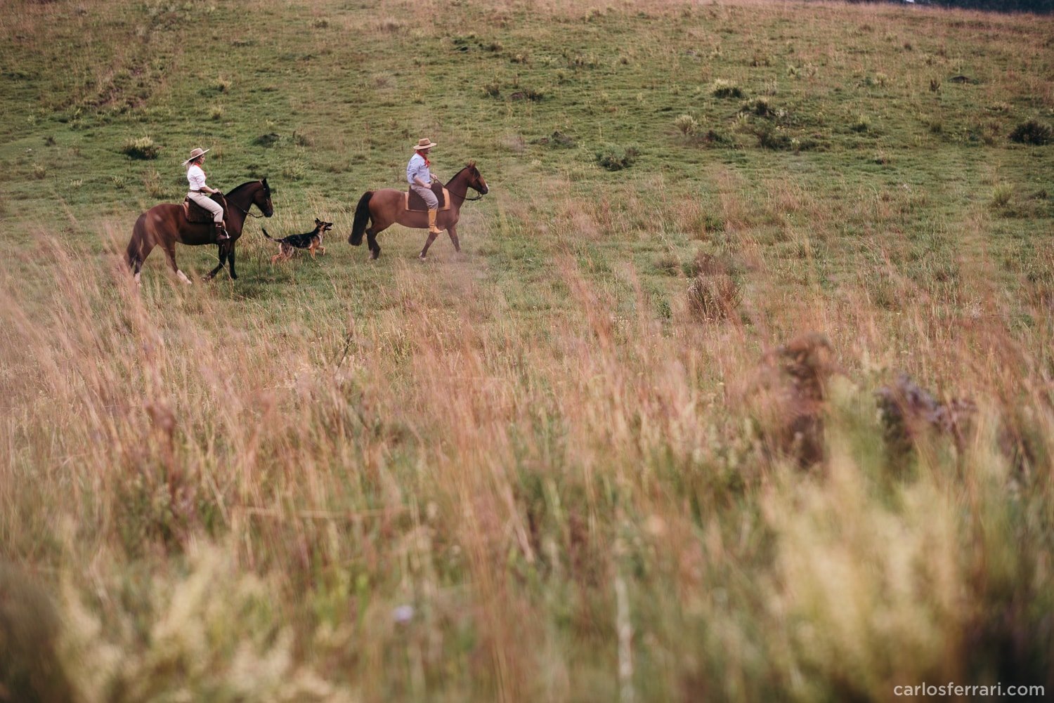 carlosferrari-fotografia-precasamento-andreiaejoelcio-cabanha-cavalos-fotosdiferentes-espontaneas_11