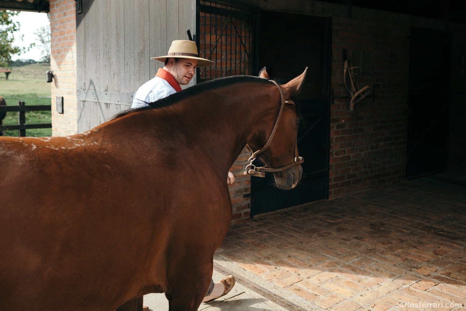 carlosferrari-fotografia-precasamento-andreiaejoelcio-cabanha-cavalos-fotosdiferentes-espontaneas_4