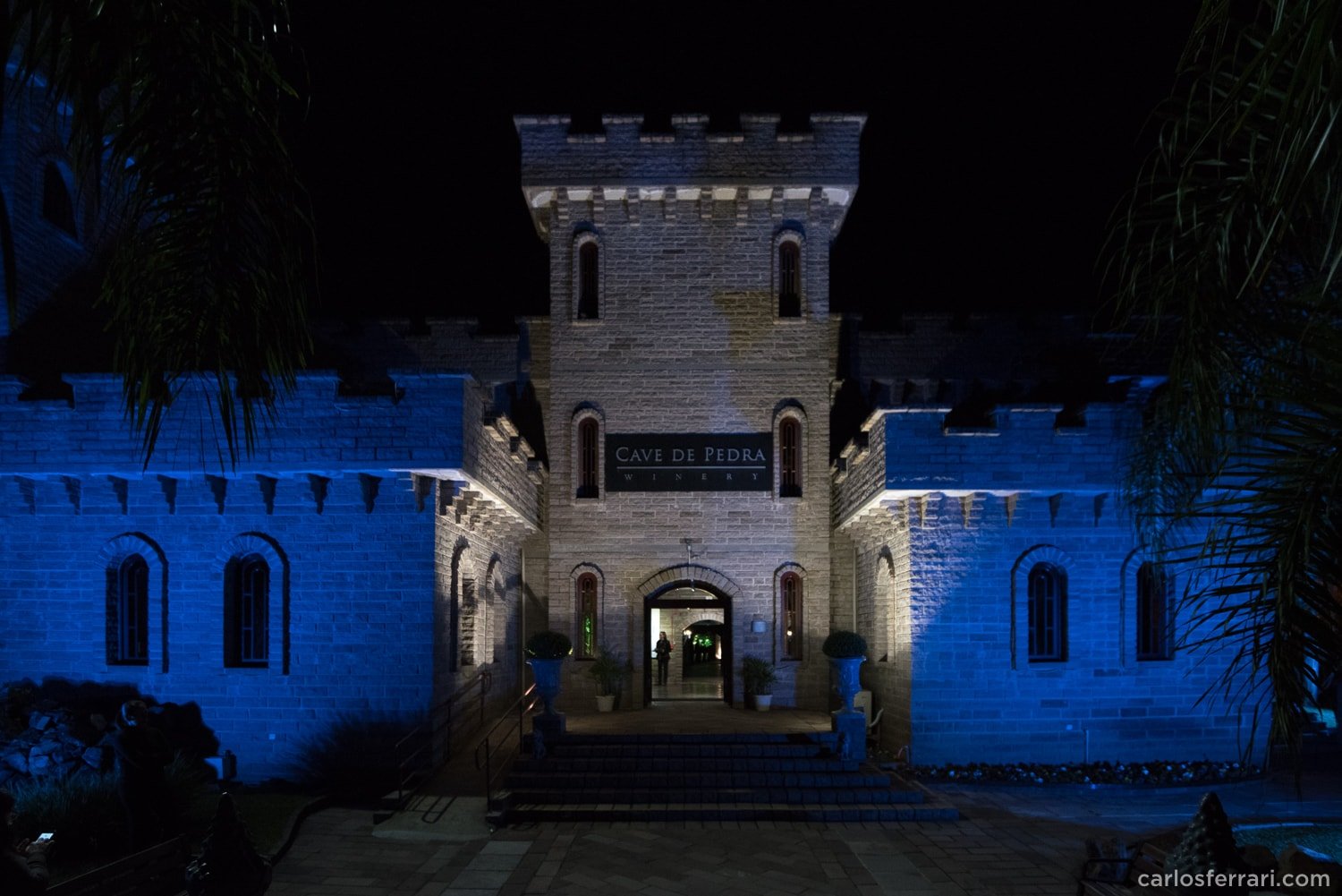 carlosferrari-fotografia-evento-corporativo-shire-cave-de-pedra1