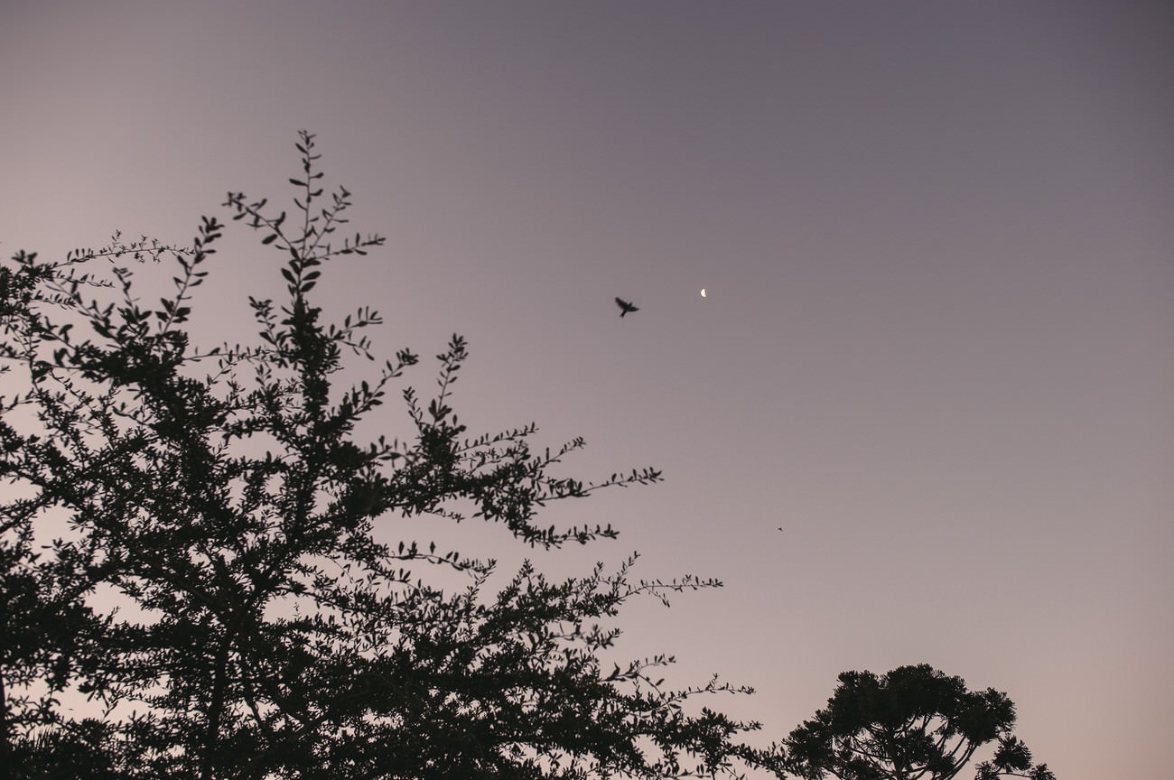 025_20160116_carlosferrari_formaturastephanie_1319