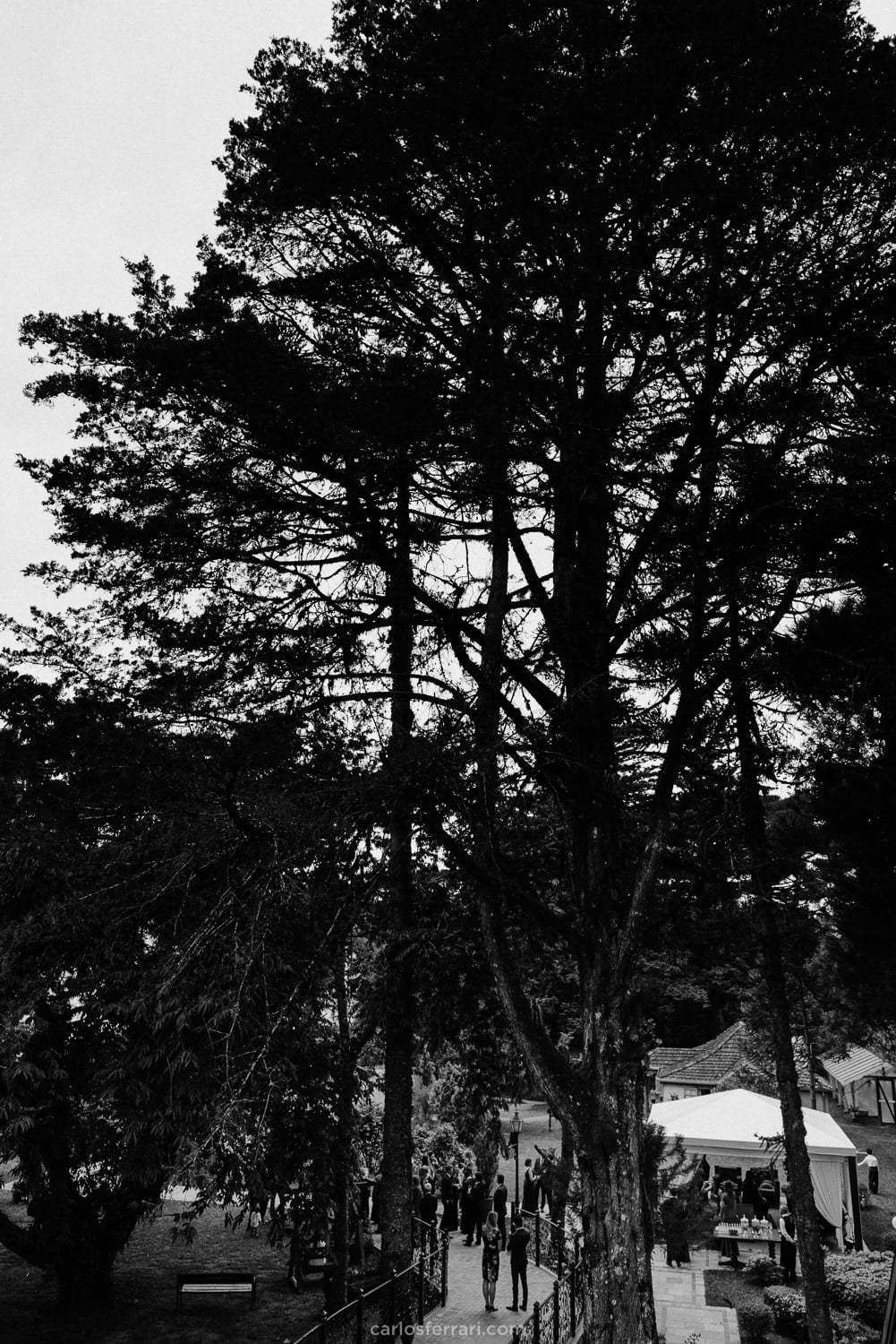 casamento-em-gramado-hotel-ritta-hopnner-case-na-serragaucha-tarsila-e-antonio-carlosferrari-fotografia_33