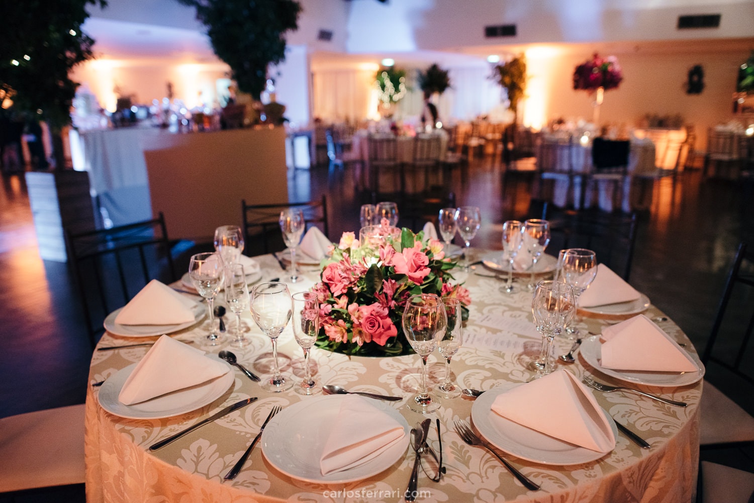 carlosferrari-fotografia-formatura-elisa-segabinazzi-direito-ufrgs-porto-alegre_22