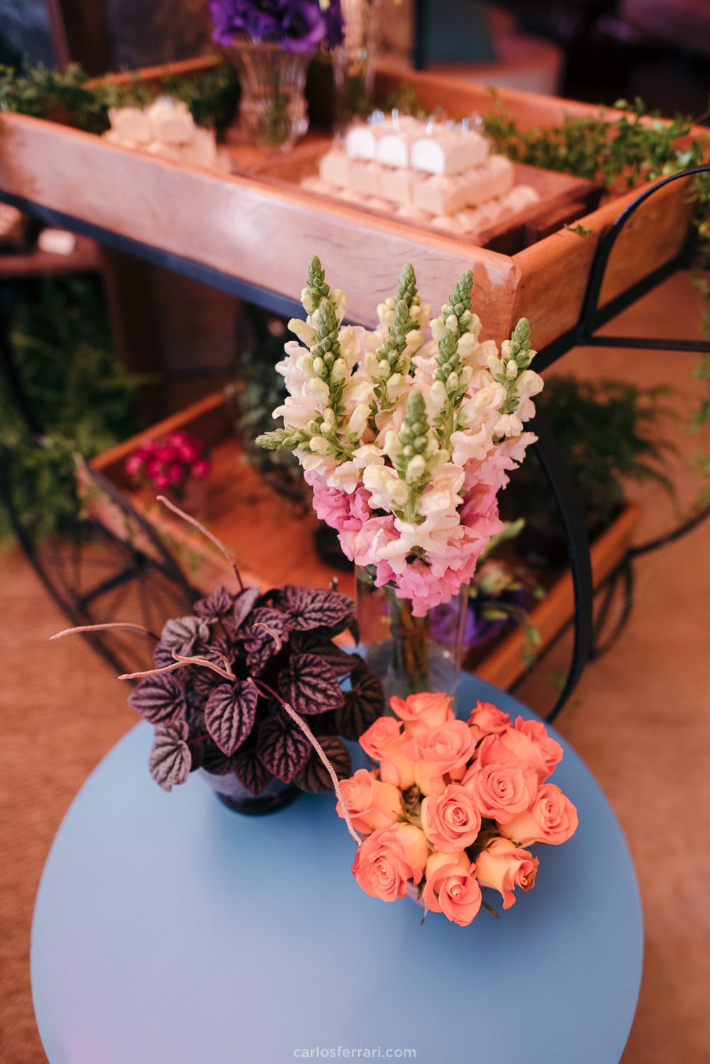 formatura-odontologia-pucrs-laiseluchese-vinicola-marco-luigi-valedosvinhedos-bentogoncalves-serragaucha_26