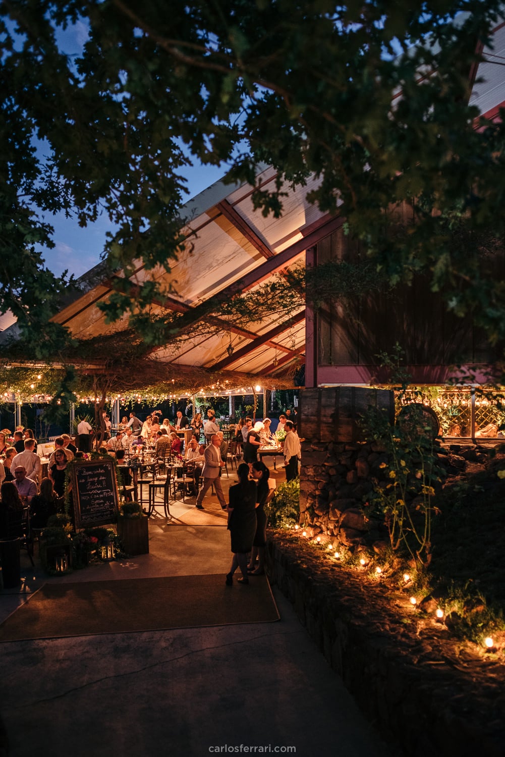 formatura-odontologia-pucrs-laiseluchese-vinicola-marco-luigi-valedosvinhedos-bentogoncalves-serragaucha_61