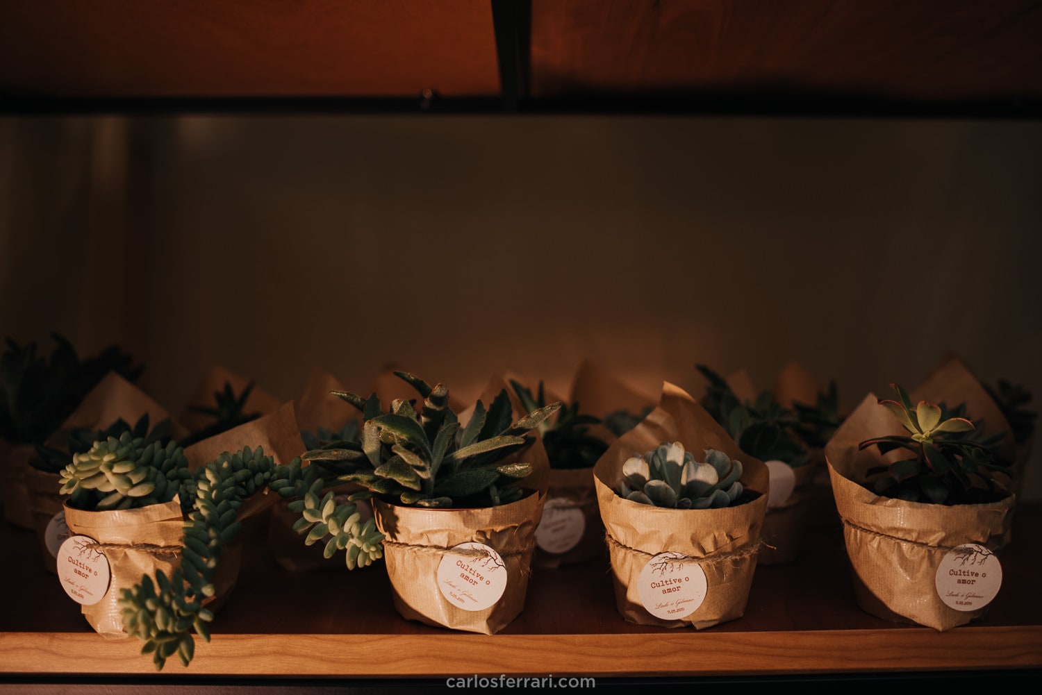 carlosferrari-fotografia-casamento-vinicola-marco-luigi-vale-dos-vinhedos-serra-gaucha-bento-goncalves-rs-ladi-e-gilmar_40