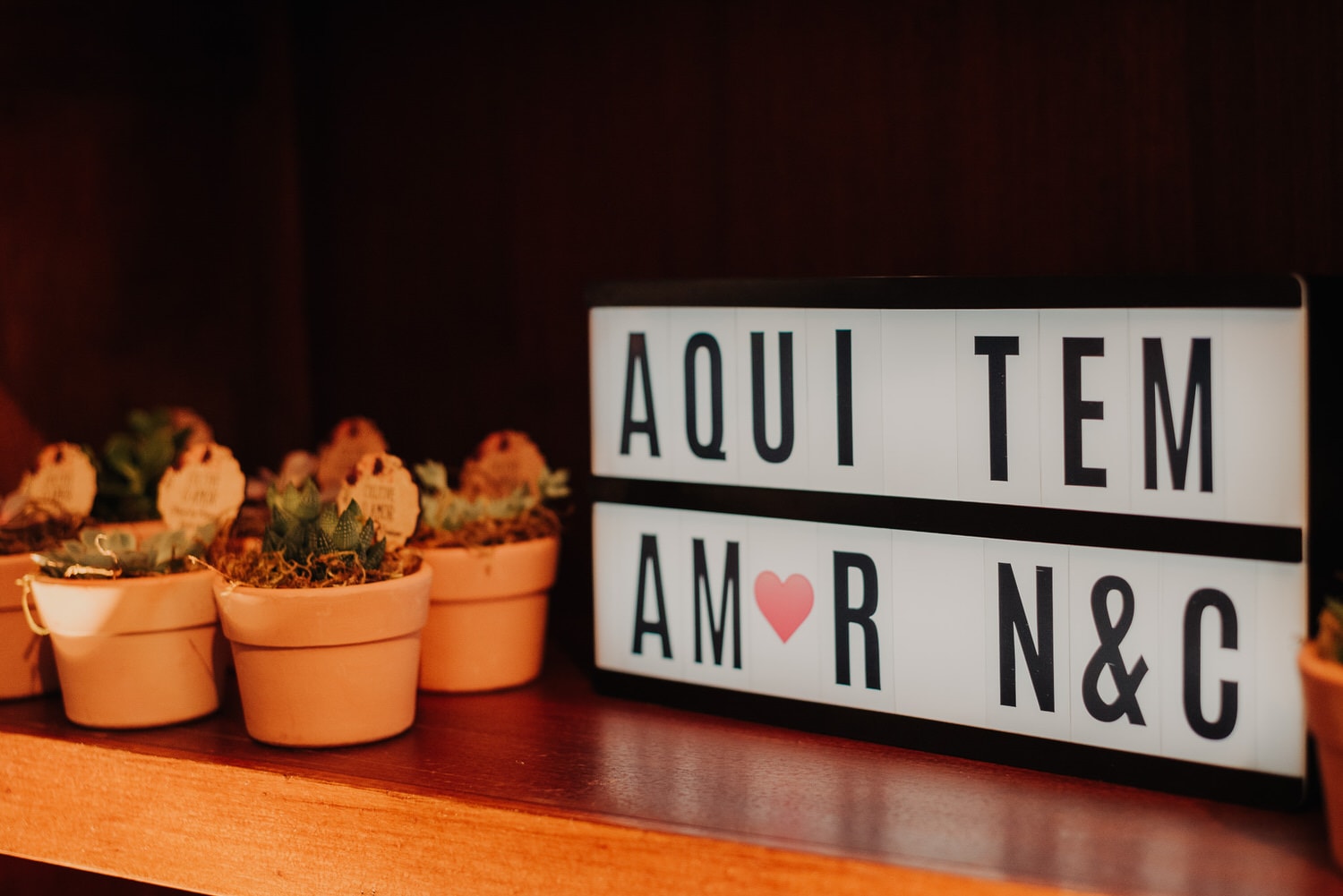 destination-wedding-serra-gaucha-casamento-bentogoncalves-cris-e-nicoli-carlosferrari-fotografia_41