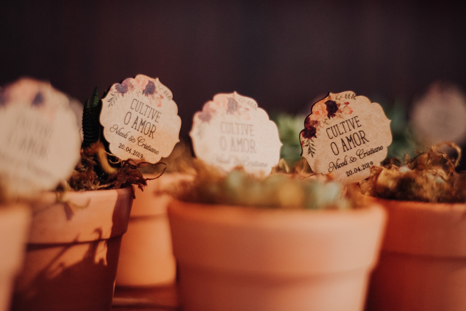 destination-wedding-serra-gaucha-casamento-bentogoncalves-cris-e-nicoli-carlosferrari-fotografia_42