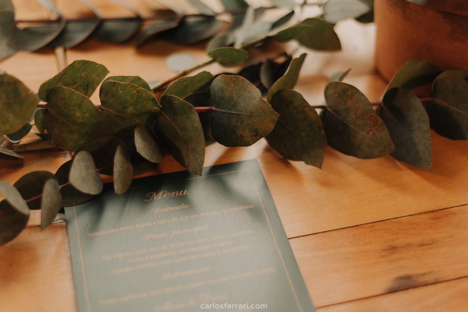 carlosferrari-fotografia-casamento-vinicola-casa-valduga-bento-goncalves-vale-dos-vinehdos-mari-e-cesar_5