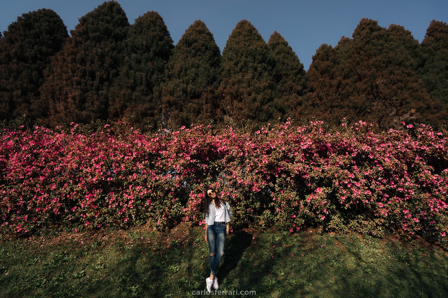 carlosferrari-fotografia-ensaio-de-15-ao-ar-livre-vale-dos-vinhedos-bento-goncalves-serra-gaucha-rs-carol-mello_12