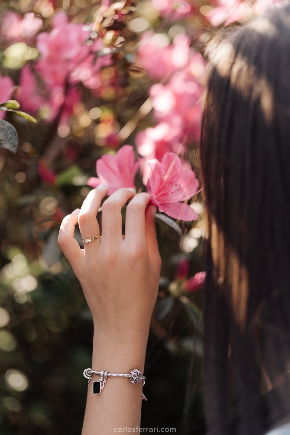 carlosferrari-fotografia-ensaio-de-15-ao-ar-livre-vale-dos-vinhedos-bento-goncalves-serra-gaucha-rs-carol-mello_13