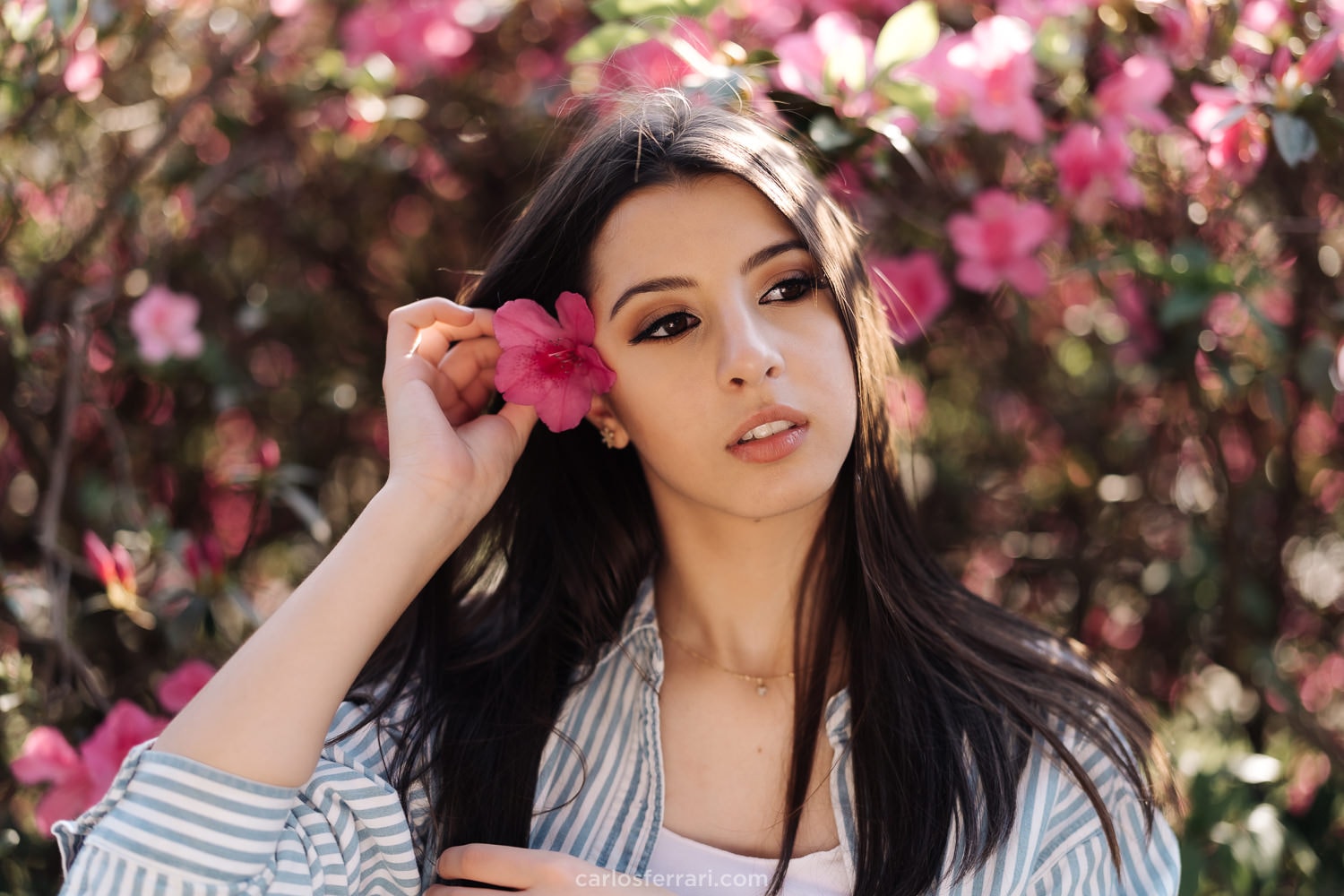 carlosferrari-fotografia-ensaio-de-15-ao-ar-livre-vale-dos-vinhedos-bento-goncalves-serra-gaucha-rs-carol-mello_14