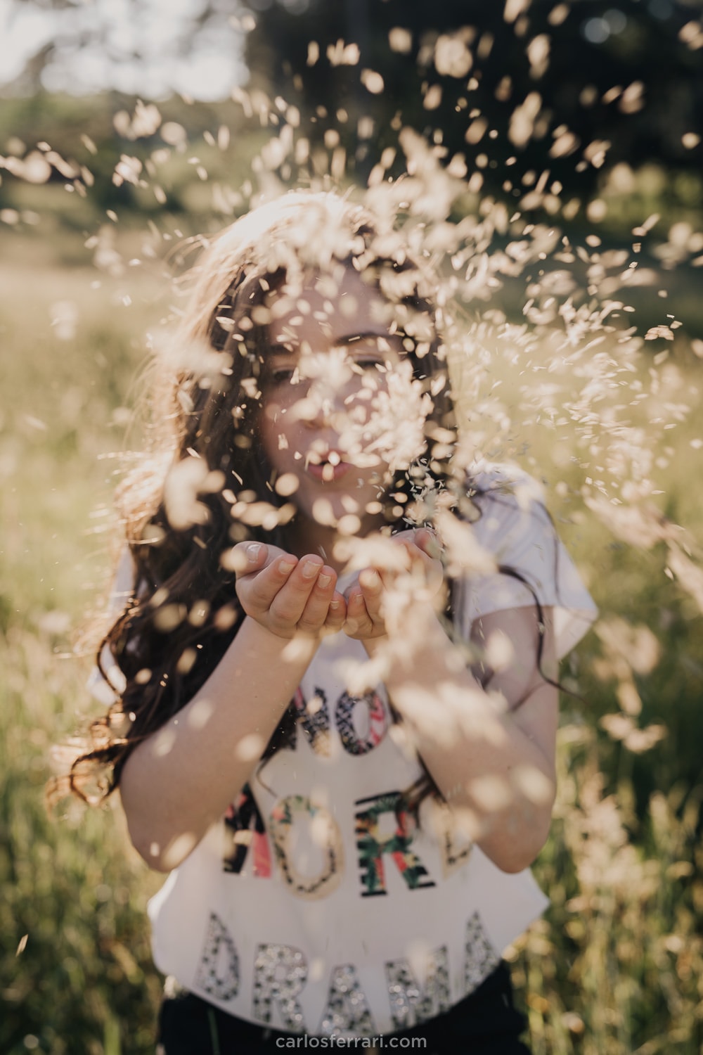 carlosferrari-fotografia-ensaio-de-15-ao-ar-livre-vale-dos-vinhedos-maison-forestier-bento-goncalves-serra-gaucha-rs-sofia_17