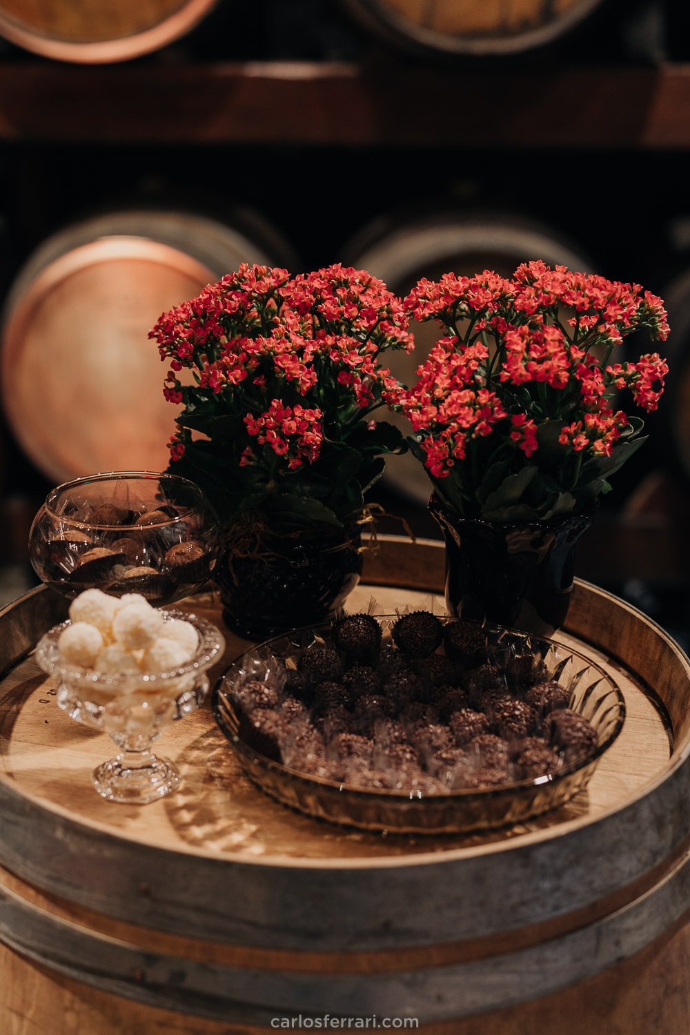 carlosferrari-fotografia-formatura-unisinos-direito-leticiacenci-vinicola-don-giovanni-bento-goncalves-serragaucha-rs_032