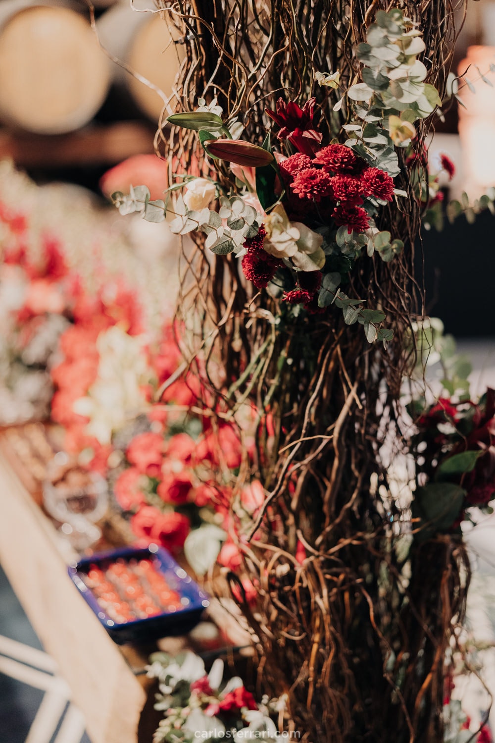 carlosferrari-fotografia-formatura-unisinos-direito-leticiacenci-vinicola-don-giovanni-bento-goncalves-serragaucha-rs_065