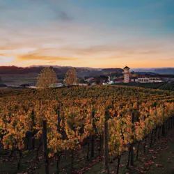 carlos-ferrari-fotografia-sunset-vale-dos-vinhedos