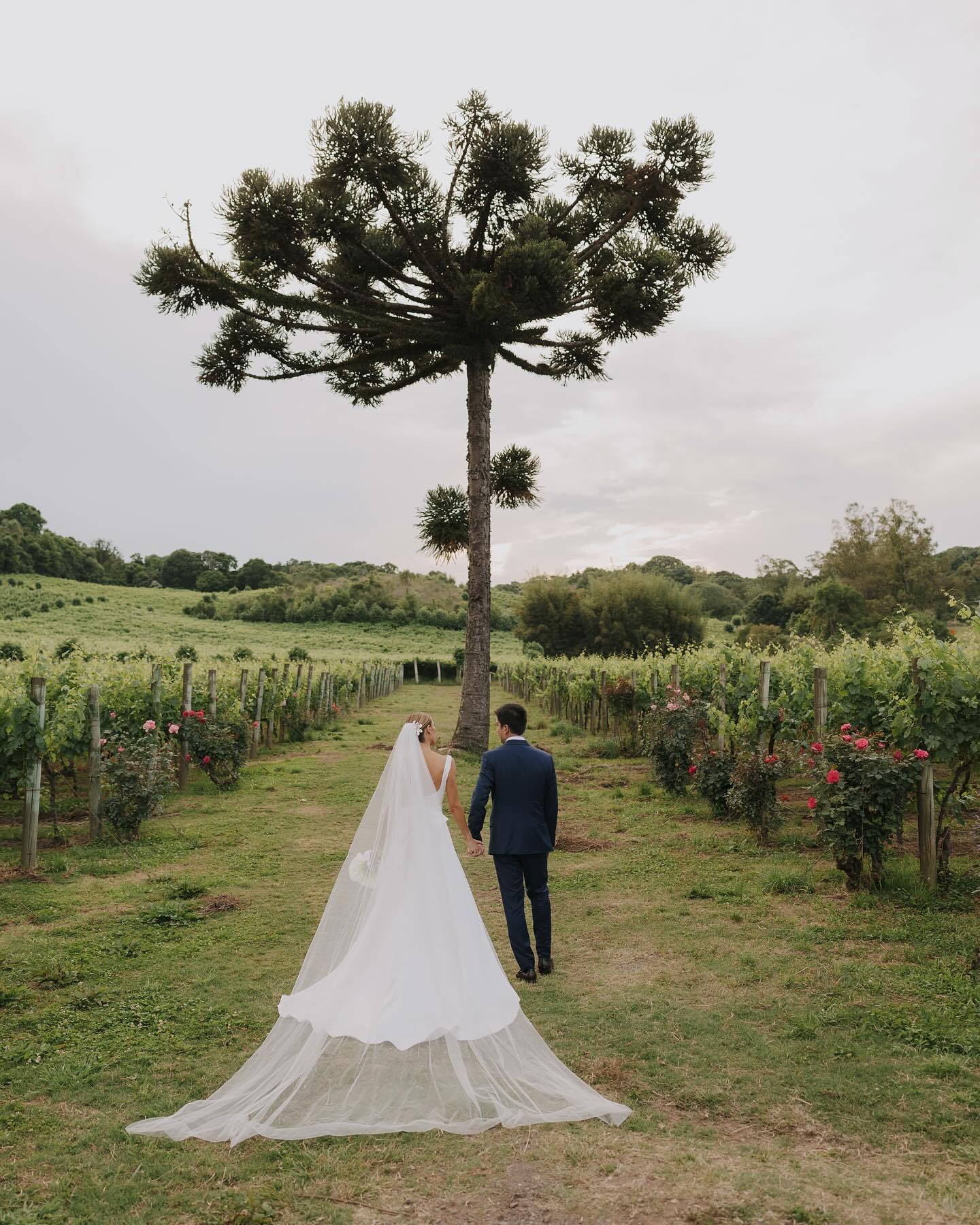 casamento-vale-dos-vinhedos-serra-gaucha-camila-e-rafael-carlosferrari-fotografia-13
