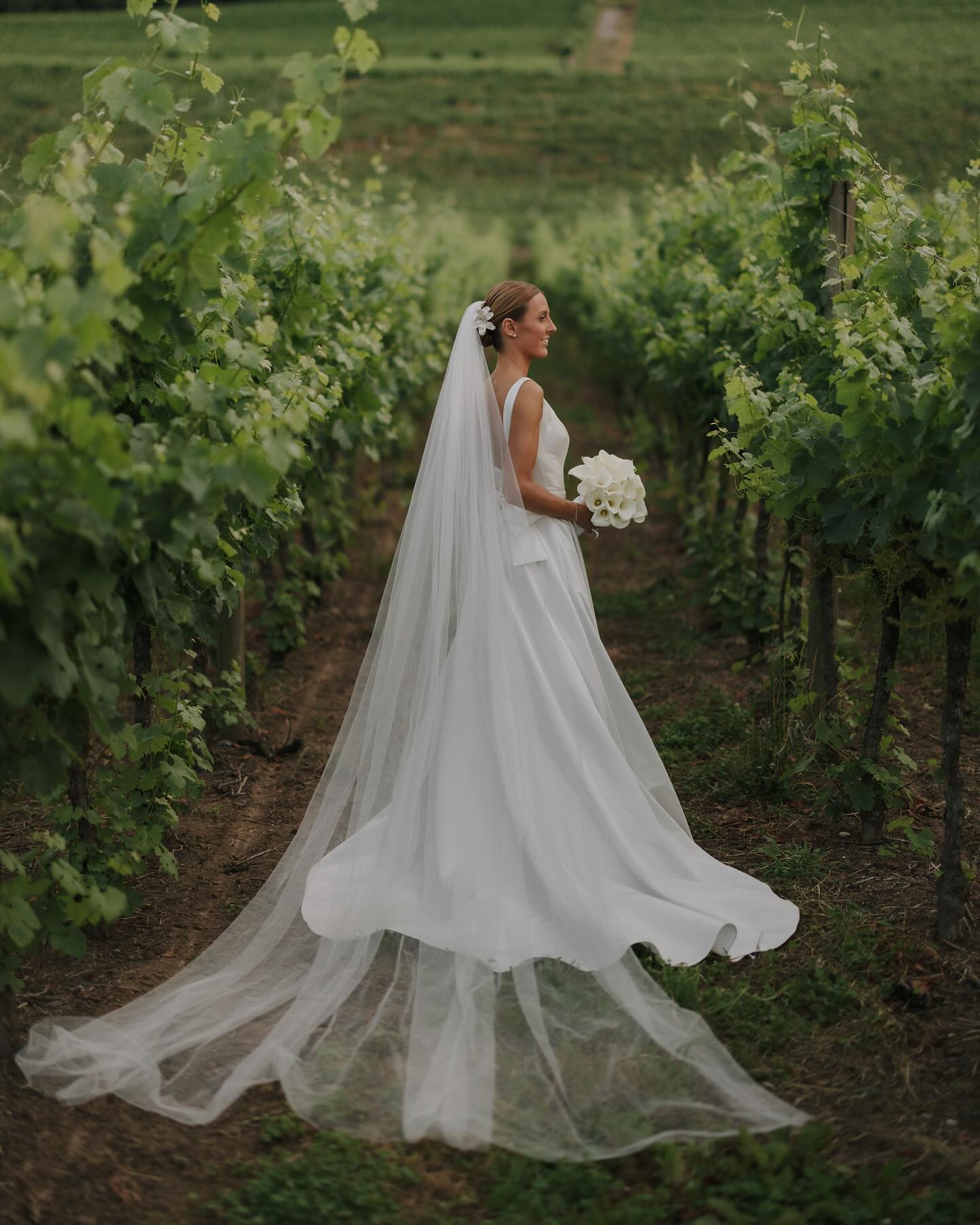 casamento-vale-dos-vinhedos-serra-gaucha-camila-e-rafael-carlosferrari-fotografia-14