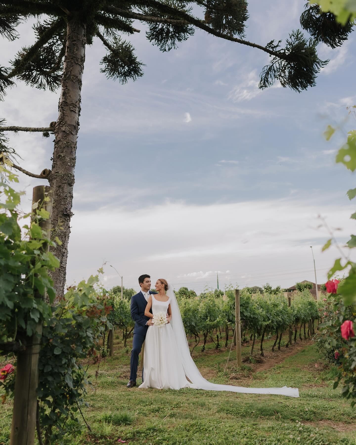 casamento-vale-dos-vinhedos-serra-gaucha-camila-e-rafael-carlosferrari-fotografia-15